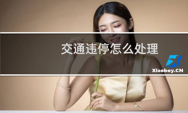 交通违停怎么处理 - 违停该怎么处理