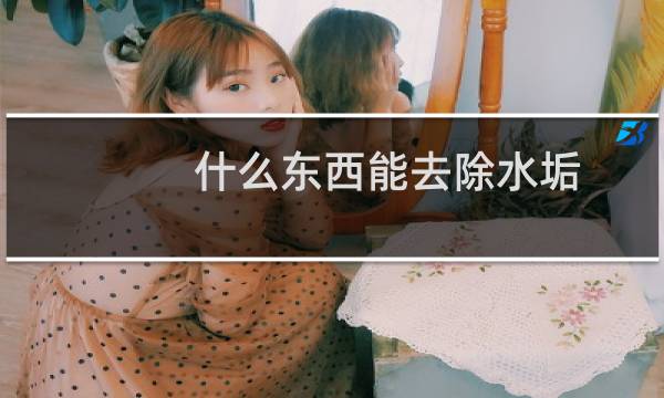 什么东西能去除水垢 - 什么东西可以快速去除水垢