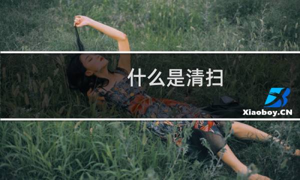 什么是清扫 - 清扫的概念