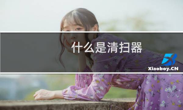 什么是清扫器 - 清扫器的种类