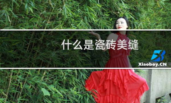 什么是瓷砖美缝 - 瓷砖做美缝好还是不做美缝好
