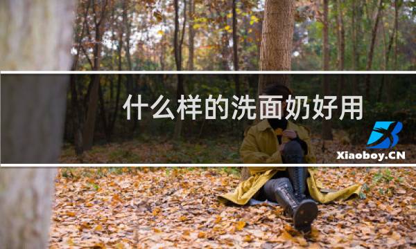 什么样的洗面奶好用 - 十大最好的洗面奶