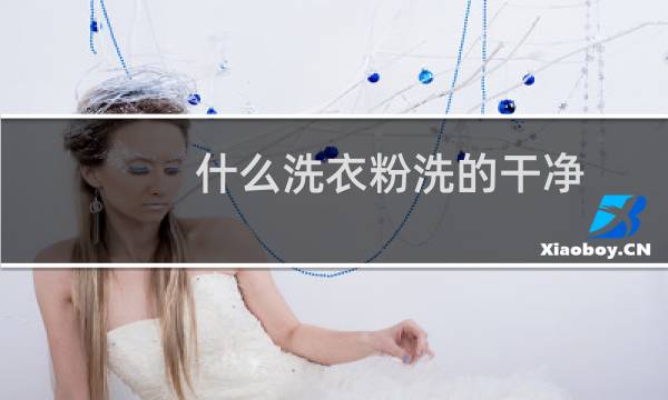 什么洗衣粉洗的干净 - 洗衣粉加什么洗衣更干净