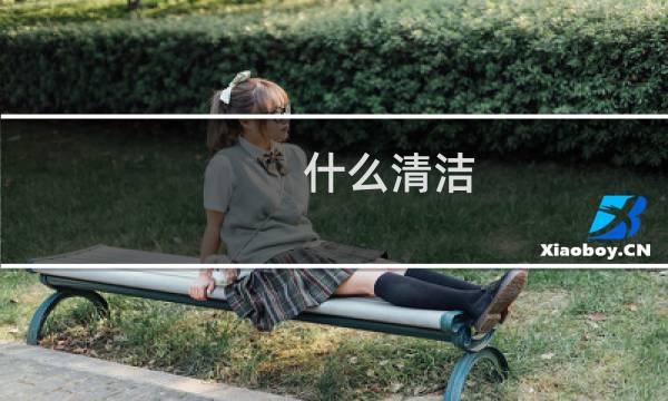 什么清洁 - 盛大检测清洁是什么意思