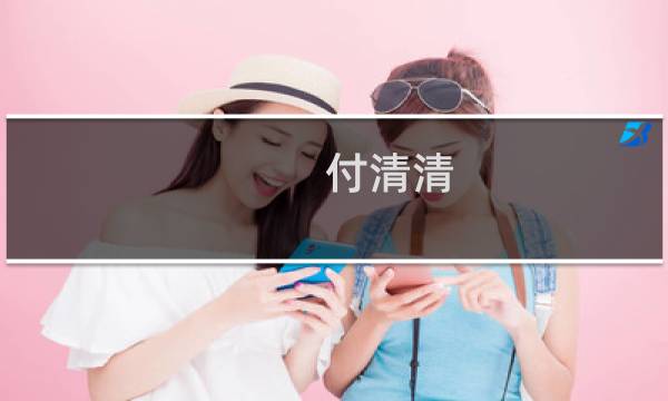 付清清 - 付清清被执行人