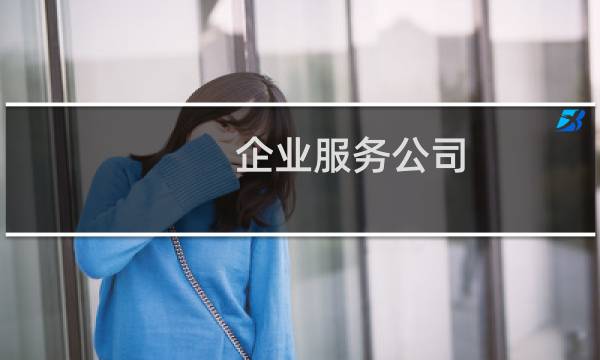 企业服务公司 - 企服有限公司