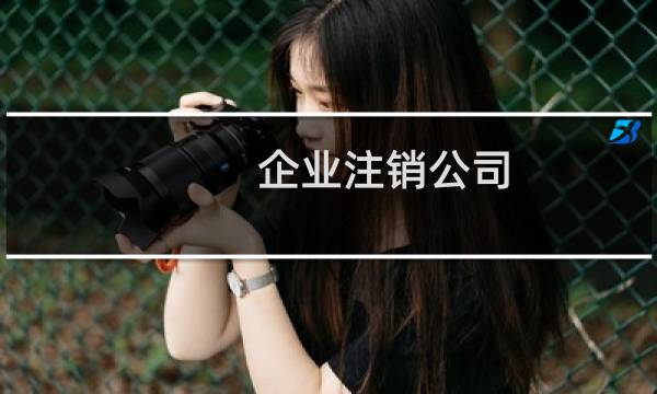 企业注销公司 - 公司注销流程