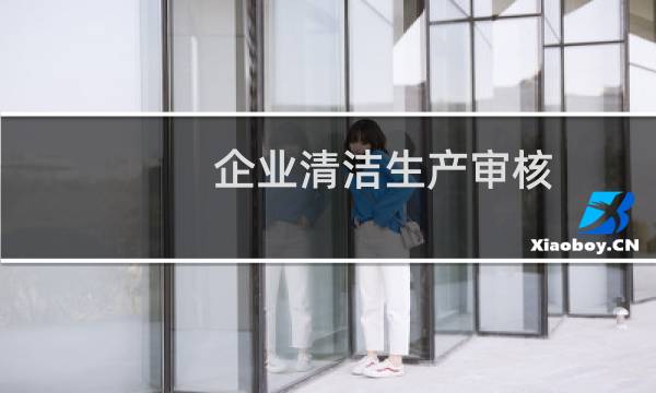 企业清洁生产审核 - 清洁生产审核的七个步骤