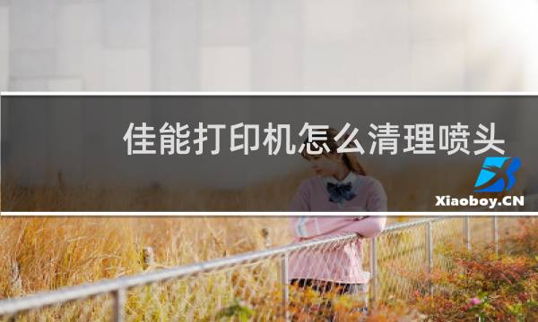 佳能打印机怎么清理喷头 - 佳能墨盒喷头清洗图解