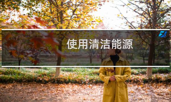 使用清洁能源 - 一次能源
