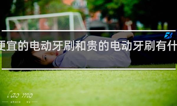 便宜的电动牙刷和贵的电动牙刷有什么区别 - 电动牙刷到底好不好