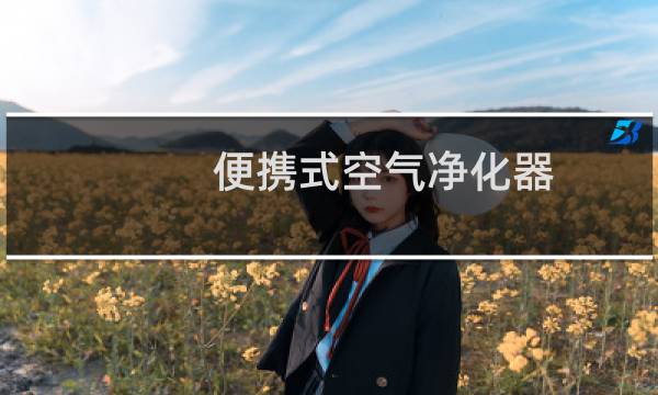 便携式空气净化器 - 有不错的便携空气净化器吗