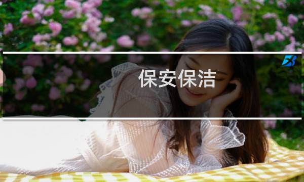 保安保洁 - 保安保洁是什么意思