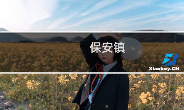 保安镇 - 大冶市保安镇二手房出售