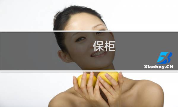 保柜 - 保密柜