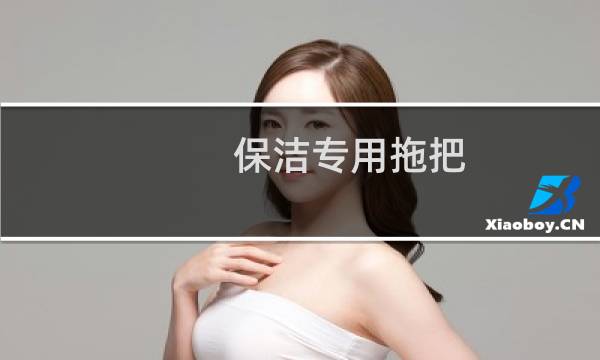 保洁专用拖把 - 医院保洁毛巾分色管理