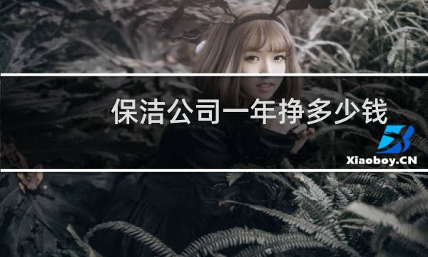 保洁公司一年挣多少钱 - 保洁公司利润大吗