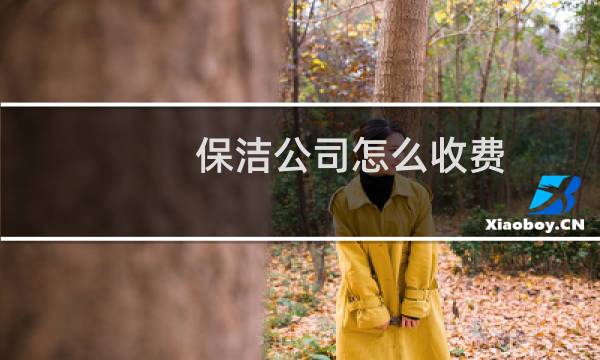 保洁公司怎么收费 - 保洁打扫卫生视频