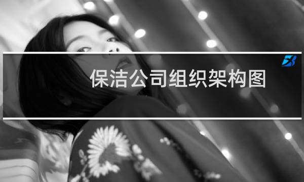 保洁公司组织架构图 - 保洁公司架构图模板