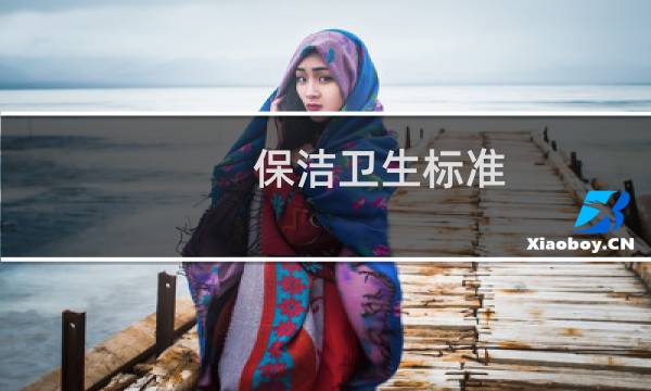 保洁卫生标准 - 保洁卫生标准及要求