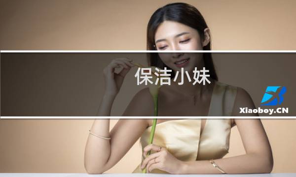 保洁小妹 - 万万没想到保洁小妹台词