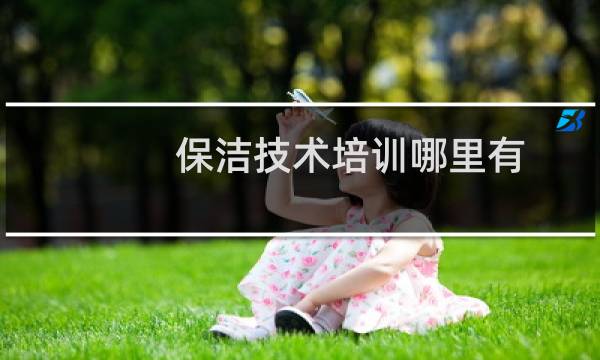 保洁技术培训哪里有 - 保洁清洁技能培训