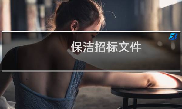 保洁招标文件 - 保洁易耗品招标文件