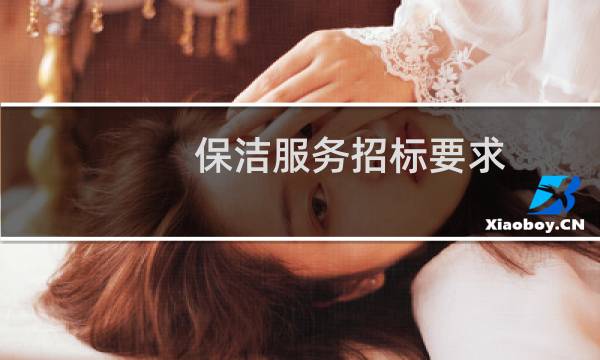 保洁服务招标要求 - 酒店保洁招标要求