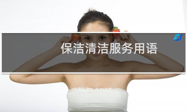 保洁清洁服务用语 - 保洁服务理念和目标