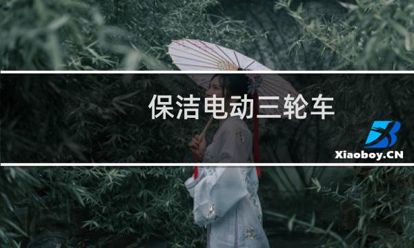 保洁电动三轮车 - 电动三轮环卫保洁车价格
