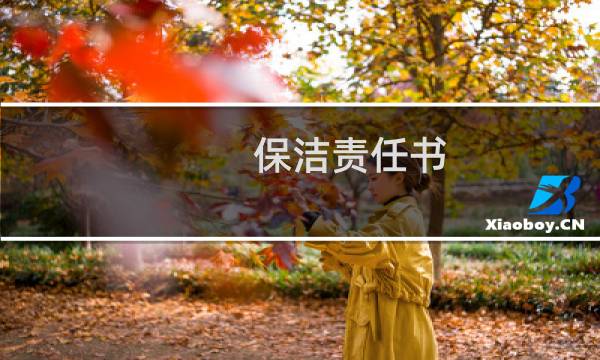 保洁责任书 - 保洁员岗位安全生产责任制