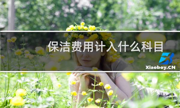 保洁费用计入什么科目 - 保洁费可以计入办公费吗