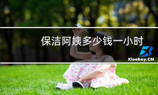 保洁阿姨多少钱一小时 - 上门打扫卫生怎么收费