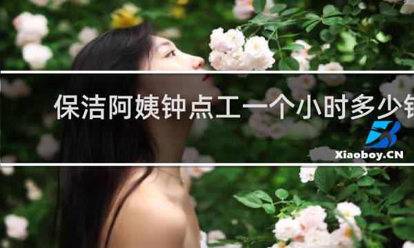 保洁阿姨钟点工一个小时多少钱 - 保洁阿姨工作证明