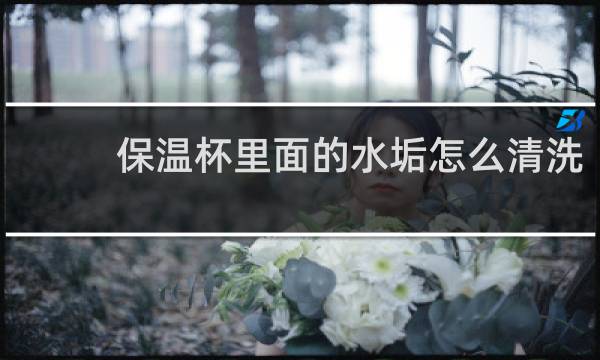保温杯里面的水垢怎么清洗 - 保温杯里的水垢如何快速去除