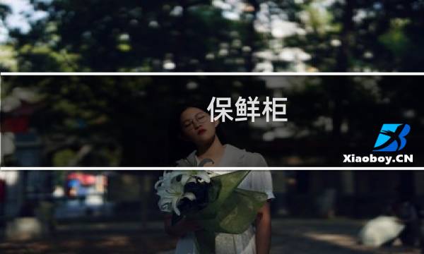 保鲜柜 - 小型透明保鲜柜