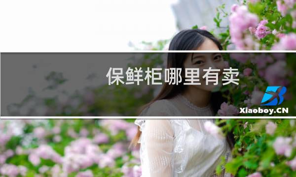 保鲜柜哪里有卖 - 保险柜专卖店