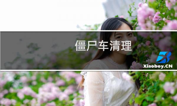 僵尸车清理 - 清理僵尸车的总结