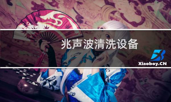 兆声波清洗设备 - 超声波清洗机