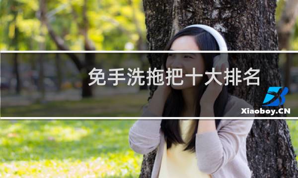 免手洗拖把十大排名 - 平板拖把十大排行榜