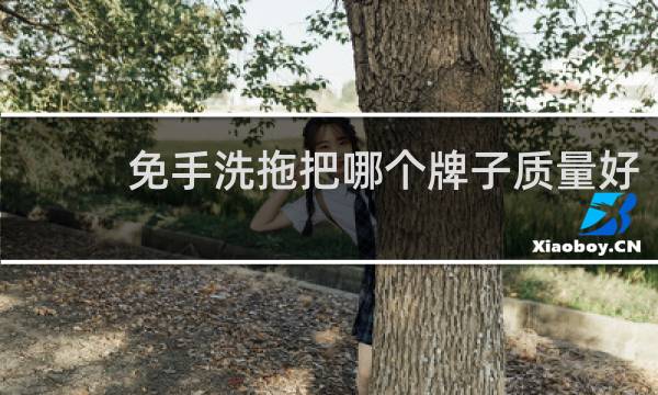 免手洗拖把哪个牌子质量好 - 免洗平板拖把什么牌子最好用