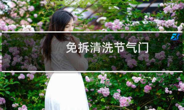 免拆清洗节气门 - 千万别洗节气门
