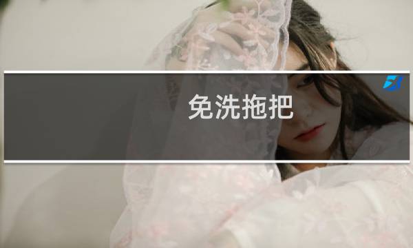 免洗拖把 - 免手洗拖把大全