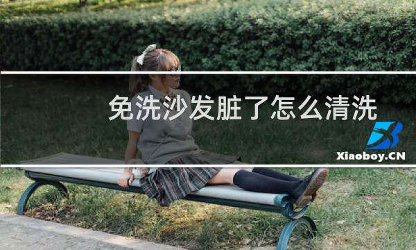 免洗沙发脏了怎么清洗 - 免水洗沙发怎么清洗