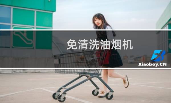 免清洗油烟机 - 不用清洗的吸油烟机