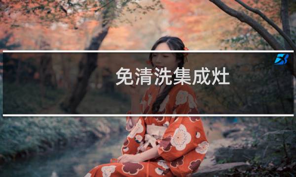 免清洗集成灶 - 集成灶免清洗靠不靠谱