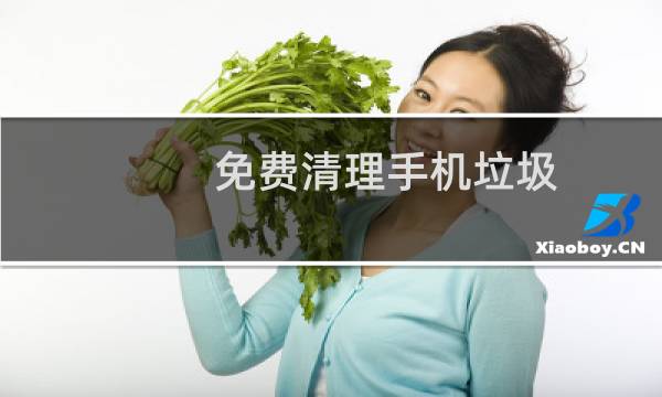 免费清理手机垃圾 - 手机垃圾清理怎么下载