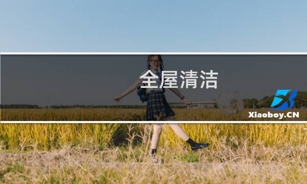 全屋清洁 - 专业全屋清洁