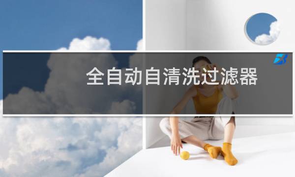 全自动自清洗过滤器 - 家用全自动清洗过滤器