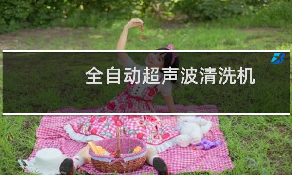 全自动超声波清洗机 - 全自动多臂式超声波清洗机